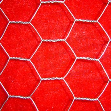 Chicken Wire / Hexagonal Wire Mesh