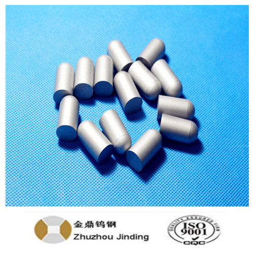 Popular Tungsten Carbide Button, High Quality Carbide Button, Carbide Tool